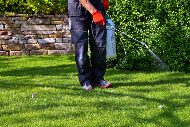 Best Commercial Pest Control  in Johnson City, TX